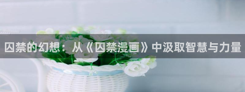 香蕉漫画书免费下拉式