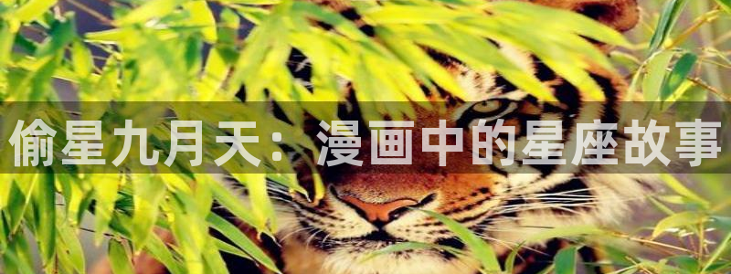 羞羞香蕉漫画：偷星九月天：漫画中的星座故事